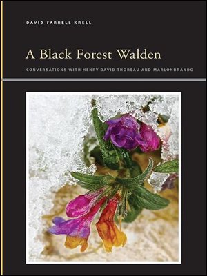 cover image of A Black Forest Walden